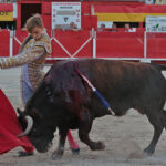 Chateaurenard (Francia), domingo 22 de julio de 2018