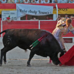 Chateaurenard (Francia), domingo 22 de julio de 2018