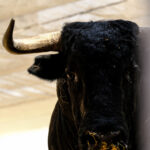 Toros de Cuadri para el 27 de julio de 2018 en Valencia