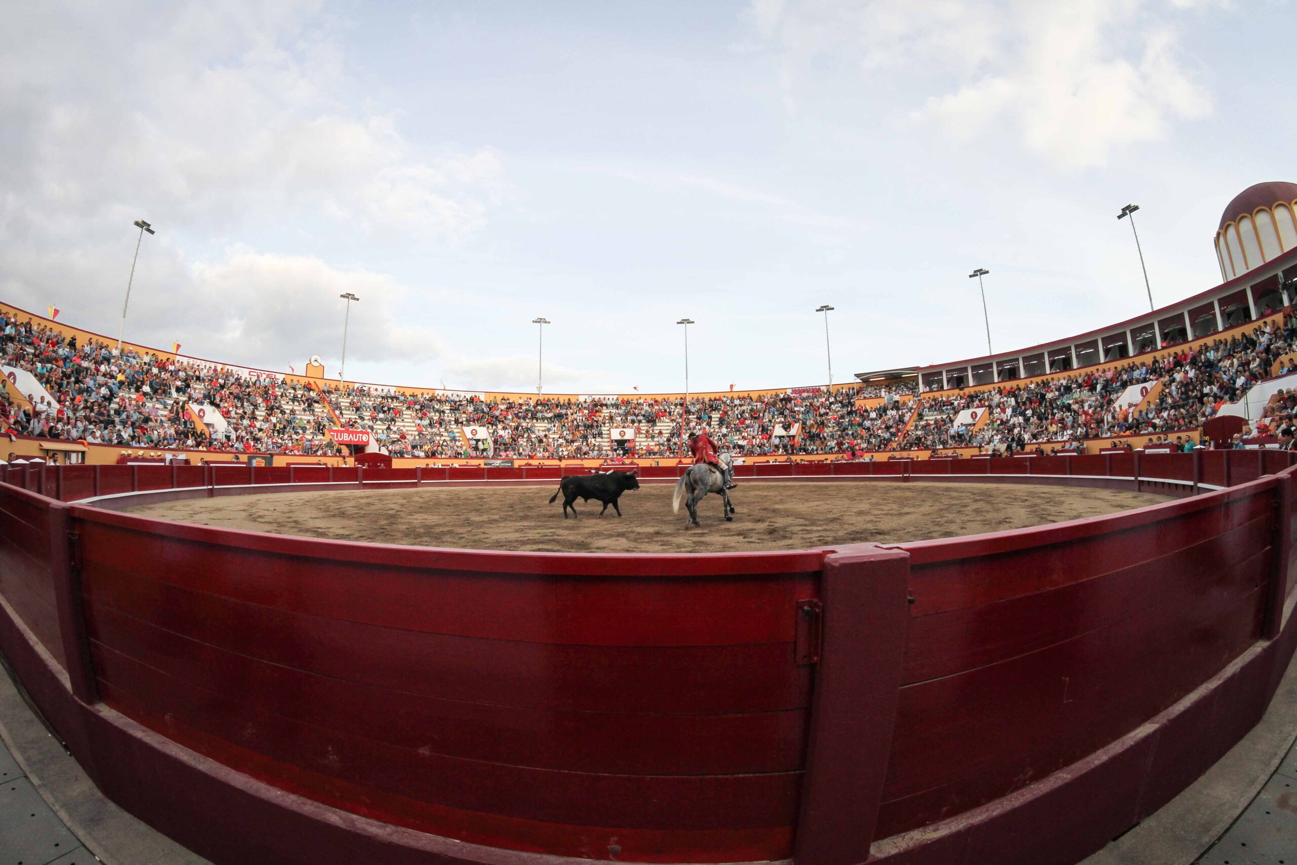 Angra do Heroísmo cierra los carteles de sus tradicionales Sanjoaninas