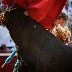 Mont de Marsan, 18 de julio de 2018.