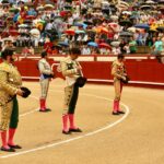 Árevalo (Ávila) - Corrida de toros - Sábado 7 de julio de 2018