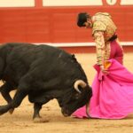 Árevalo (Ávila) - Corrida de toros - Sábado 7 de julio de 2018