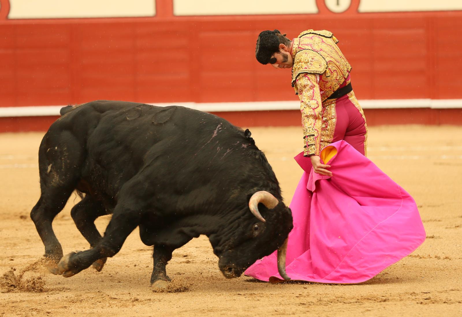 Árevalo (Ávila) - Corrida de toros - Sábado 7 de julio de 2018
