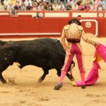 Árevalo (Ávila) - Corrida de toros - Sábado 7 de julio de 2018