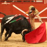 Árevalo (Ávila) - Corrida de toros - Sábado 7 de julio de 2018