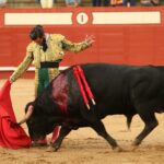 Arévalo (Ávila) - Corrida de toros - Sábado 7 de julio de 2018