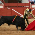 Arévalo (Ávila) - Corrida de toros - Sábado 7 de julio de 2018