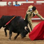Arévalo (Ávila) - Corrida de toros - Sábado 7 de julio de 2018