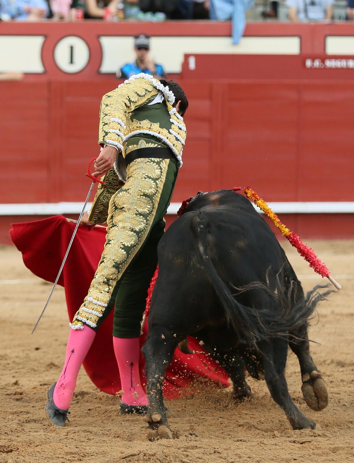 Arévalo (Ávila) - Corrida de toros - Sábado 7 de julio de 2018