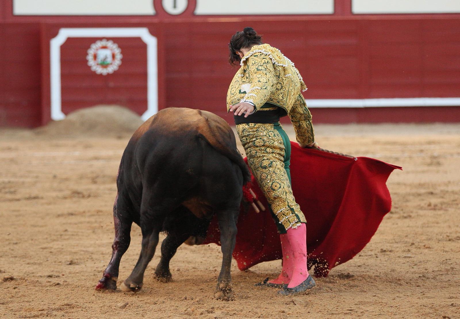 Arévalo (Ávila) - Corrida de toros - Sábado 7 de julio de 2018