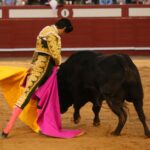 Arévalo (Ávila) - Corrida de toros - Sábado 7 de julio de 2018