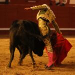 Arévalo (Ávila) - Corrida de toros - Sábado 7 de julio de 2018