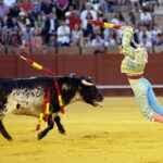 Jueves 19 de julio de 2018. Novillada nocturna. Miguel Andrades, Antonio Muñoz, Corruco de Algeciras, Darío Cañas, Borja Collado, Manuel Perera