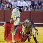 Jueves 19 de julio de 2018. Novillada nocturna. Miguel Andrades, Antonio Muñoz, Corruco de Algeciras, Darío Cañas, Borja Collado, Manuel Perera