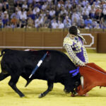 Jueves 19 de julio de 2018. Novillada nocturna. Miguel Andrades, Antonio Muñoz, Corruco de Algeciras, Darío Cañas, Borja Collado, Manuel Perera