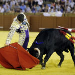 Jueves 19 de julio de 2018. Novillada nocturna. Miguel Andrades, Antonio Muñoz, Corruco de Algeciras, Darío Cañas, Borja Collado, Manuel Perera