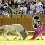 Jueves 19 de julio de 2018. Novillada nocturna. Miguel Andrades, Antonio Muñoz, Corruco de Algeciras, Darío Cañas, Borja Collado, Manuel Perera