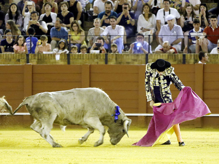 Jueves 19 de julio de 2018. Novillada nocturna. Miguel Andrades, Antonio Muñoz, Corruco de Algeciras, Darío Cañas, Borja Collado, Manuel Perera