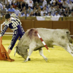 Jueves 19 de julio de 2018. Novillada nocturna. Miguel Andrades, Antonio Muñoz, Corruco de Algeciras, Darío Cañas, Borja Collado, Manuel Perera