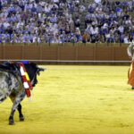 Jueves 19 de julio de 2018. Novillada nocturna. Miguel Andrades, Antonio Muñoz, Corruco de Algeciras, Darío Cañas, Borja Collado, Manuel Perera