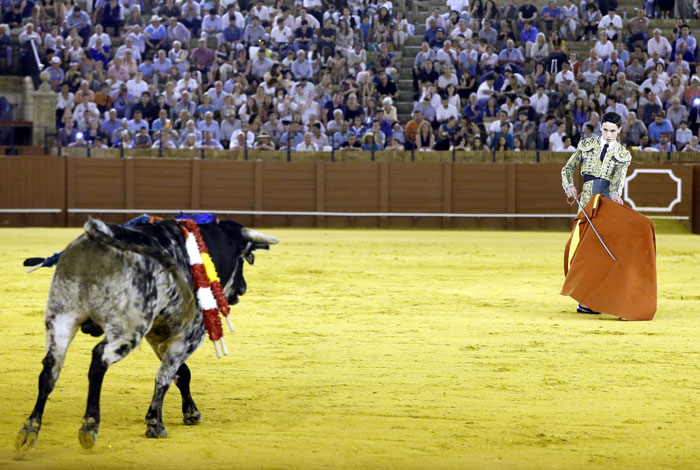 Jueves 19 de julio de 2018. Novillada nocturna. Miguel Andrades, Antonio Muñoz, Corruco de Algeciras, Darío Cañas, Borja Collado, Manuel Perera