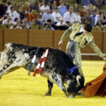 Jueves 19 de julio de 2018. Novillada nocturna. Miguel Andrades, Antonio Muñoz, Corruco de Algeciras, Darío Cañas, Borja Collado, Manuel Perera