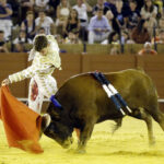 Jueves 19 de julio de 2018. Novillada nocturna. Miguel Andrades, Antonio Muñoz, Corruco de Algeciras, Darío Cañas, Borja Collado, Manuel Perera