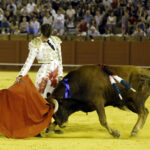 Jueves 19 de julio de 2018. Novillada nocturna. Miguel Andrades, Antonio Muñoz, Corruco de Algeciras, Darío Cañas, Borja Collado, Manuel Perera
