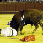 Jueves 19 de julio de 2018. Novillada nocturna. Miguel Andrades, Antonio Muñoz, Corruco de Algeciras, Darío Cañas, Borja Collado, Manuel Perera