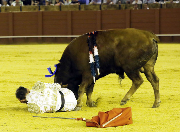 Jueves 19 de julio de 2018. Novillada nocturna. Miguel Andrades, Antonio Muñoz, Corruco de Algeciras, Darío Cañas, Borja Collado, Manuel Perera