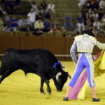 Jueves 19 de julio de 2018. Novillada nocturna. Miguel Andrades, Antonio Muñoz, Corruco de Algeciras, Darío Cañas, Borja Collado, Manuel Perera