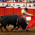 Santander, 27 de julio de 2017