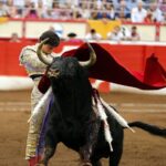 Santander, 28 de julio de 2018