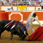 Santander, 28 de julio de 2018