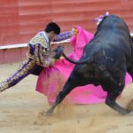 Valencia, 27 de julio de 2017