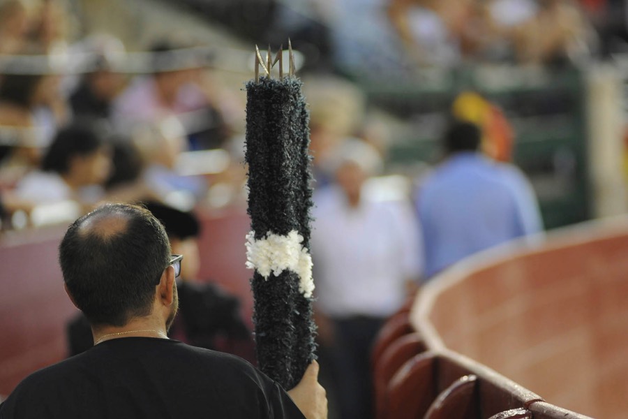 Valencia, 27 de julio de 2017