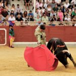 Villaseca de la Sagra (Toledo) - Final del V Certamen de Novilladas 2018