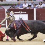 Burgos - Corrida de toros - Domingo 1 de julio de 2018