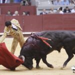 Burgos - Corrida de toros - Domingo 1 de julio de 2018
