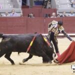 Burgos - Corrida de toros - Domingo 1 de julio de 2018