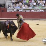 Burgos - Corrida de toros - Domingo 1 de julio de 2018