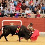 Villaseca de la Sagra (Toledo) - Final del V Certamen de Novilladas 2018