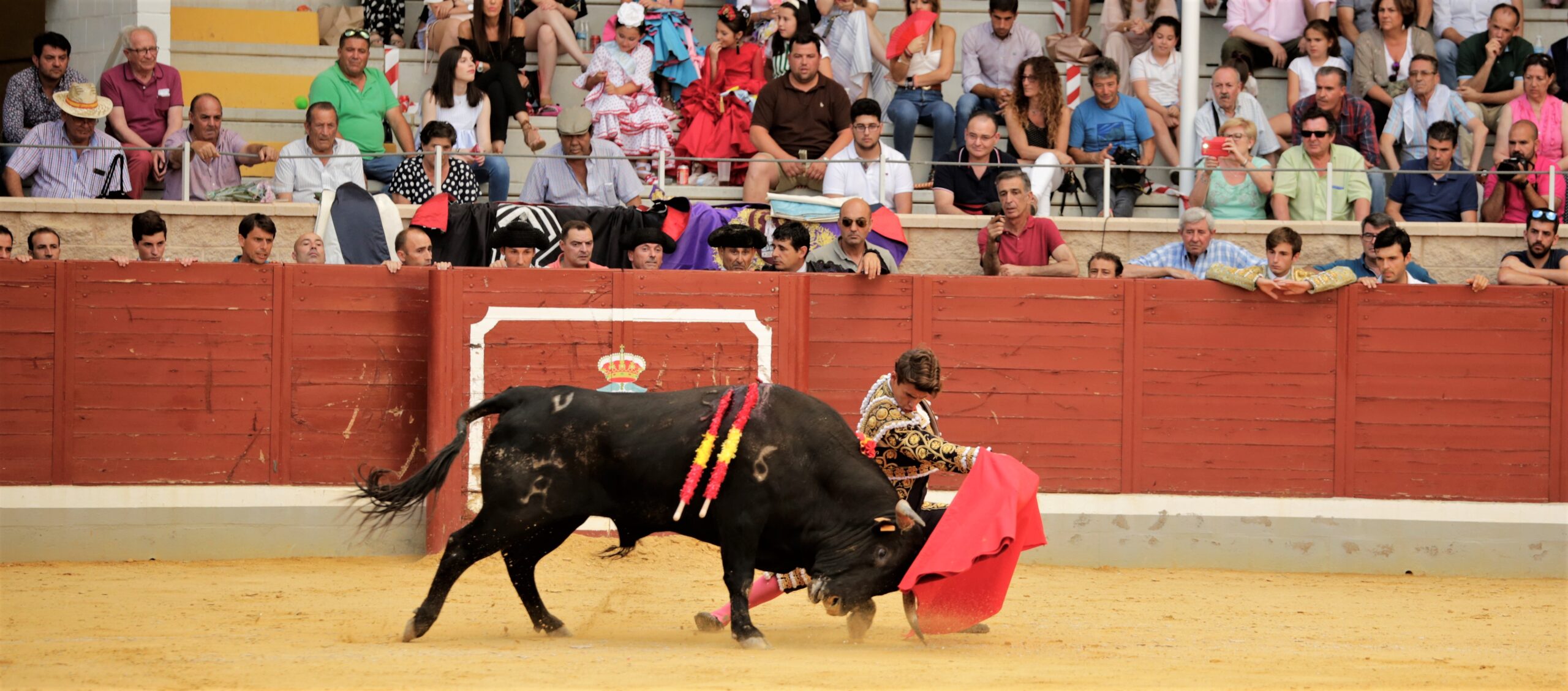 Villaseca de la Sagra (Toledo) - Final del V Certamen de Novilladas 2018