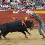 Valencia. Clase Práctica. 14 de julio de 2018