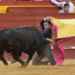 Valencia. Clase Práctica. 14 de julio de 2018