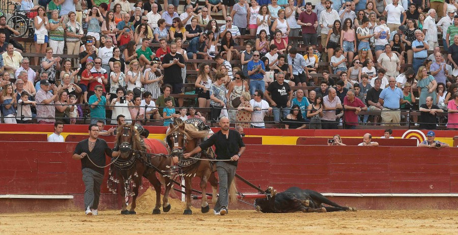 Valencia. Clase Práctica. 14 de julio de 2018