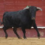 Valencia. Clase Práctica. 14 de julio de 2018