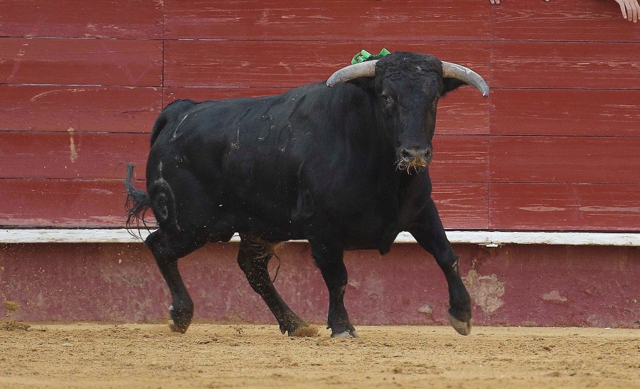 Valencia. Clase Práctica. 14 de julio de 2018