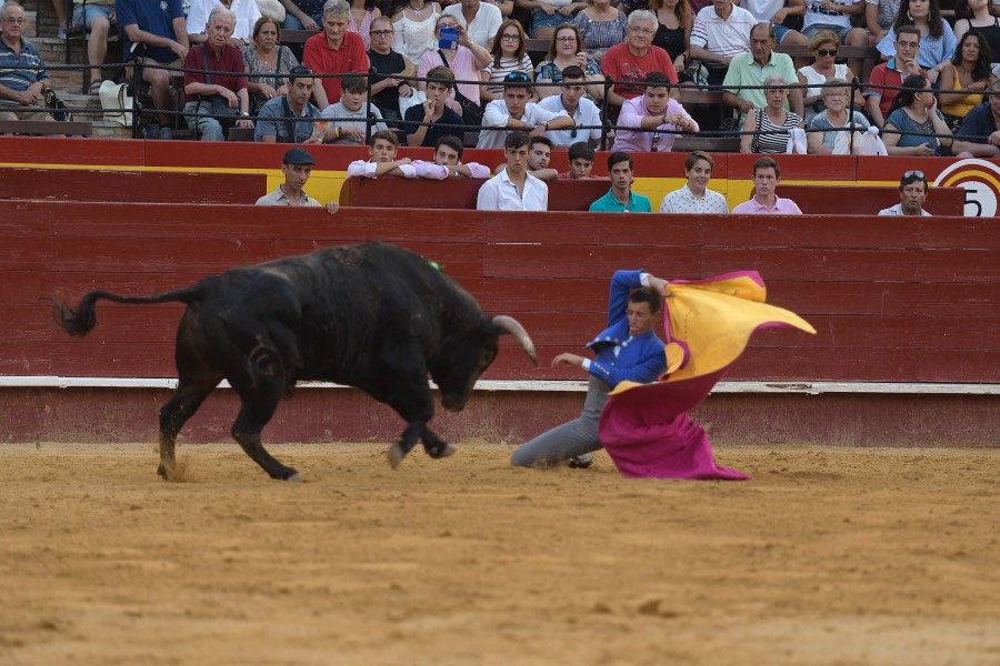 Valencia. Clase Práctica. 14 de julio de 2018